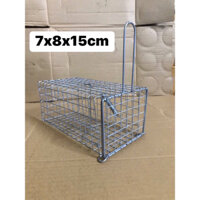 Combo 10 bẫy chuột đường mòn 7x8x15cm.