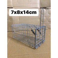 Combo 10 bẫy chuột đường mòn 7x8x14cm.