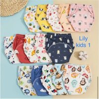 COMBO 10 Bỉm Vải( Quần bỏ bỉm) Hãng Riokids Chống Hăm Dành Cho Bé 3-22kg