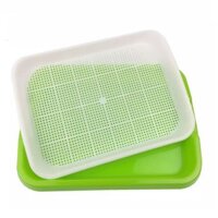 Combo 10 Bộ khay nhựa trồng rau sạch thủy canh, rau mầm ...