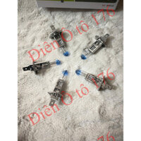 COMBO 10 bóng đèn pha ô tô, bóng đèn Halogen H1-HCL đầu xanh siêu sáng. Điện 12v và 24v