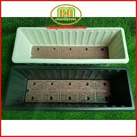 Combo 10 cái chậu nhựa chữ nhật to trồng cây thông minh kích thước 64×23×20cm