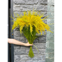 Combo 10 cành lúa giả 1 bông hàng loại 1 cao 70cm