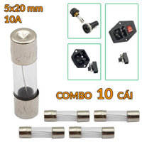 COMBO 10 cầu chì 5x20mm 10A