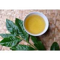 combo 10 cây trà xanh (Cung cấp sỉ số lượng lớn các loại cây giống)