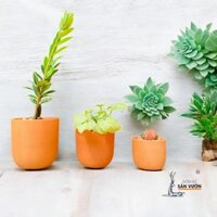 COMBO 10 Chậu Gốm Đất Nung Kiểu TRỨNG DA RẮN Size 8cm – Decor văn phòng