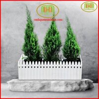 Combo 10 Chậu Hàng Rào to size LỚN nhựa trắng 65×20x21cm trồng cây trồng hoa ban công siêu cute