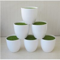 Combo 10 Chậu hoa nhựa Cao Cấp