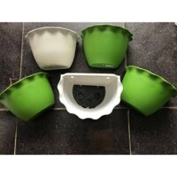 Combo 10 chậu nhựa ốp tường to