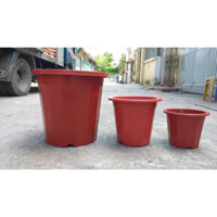 Combo 10 chậu nhựa trồng cây E330 (Kt: 28x18x25)