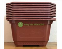 Combo 10 Chậu Nhựa Trồng Cây Mini Hình Chữ Nhật Màu Nâu Siêu Đẹp Kích Thước  22x18x12cm