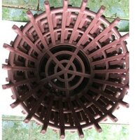 Combo 10 chậu trồng lan giả gỗ tặng 10 móc treo lan