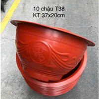 [Combo 10 chậu]Chậu nhựa trồng cây Phúc lộc thọ T48,kích thước 46x23cm, chậu trồng hoa cây cảnh quất đào tết