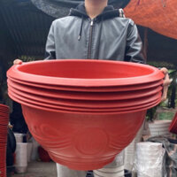 [Combo 10 chậu]Chậu nhựa trồng cây Phúc lộc thọ PLT58, chậu trồng sen nước kín lỗ, hoa cây cảnh,quất đào tết màu đỏ
