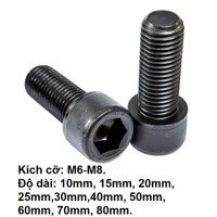 Combo 10 con Bu lông M6M8 lục giác chìm đầu trụ thép đen công nghiệp - M6,Dài 20mm