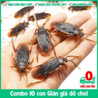 Combo 10 con gián giả nhựa dẻo để troll bạn bèlàm đồ chơi cho chó mèo hoặc làm mồi câu cá đồ chơi cho thú cưng đồ chơi cho mèo đồ chơi cho chó