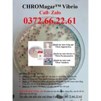 Combo 10 đĩa test khuẩn gan ruột gây bệnh nguy hiểm cho tôm