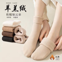 Combo 10 đôi tất lót lông sinh nhiệt dày dặn, đủ màu