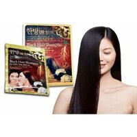 Combo 10 gói dầu gội nhuộm thảo dược black hair Hàn Quốc