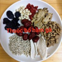 Combo 10 gói hầm thuốc bắc