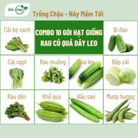 Combo 10 Gói Hạt Giống Rau Củ Quả Dây Leo Trồng Chậu VIỆT THÁI, Dễ Trồng, Quanh Năm, Nảy Mần Tốt - Hạt Giống Tiên Trang