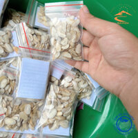 Combo 10 gói hạt sang, hạt sành già, lõi trắng, cạo vỏ cắt sẵn chính gốc rừng Tây Bắc