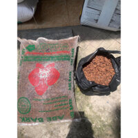 combo 10 kg vỏ thông size 3 chỉ 150 nghìn