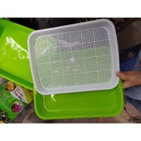 Combo 10 khay trồng rau mầm