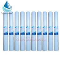 Combo 10 lõi lọc 20 icnh nesca loại tốt 260g