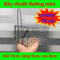 Combo 10 Lồng Bẫy Chuột Đường Mòn Có Khoen Chống Sẩy Kích Thước 8x9x17