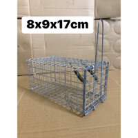 Combo 10 Lồng bẫy chuột đường mòn 2 lò xo .8.9.17cm lưới thường.