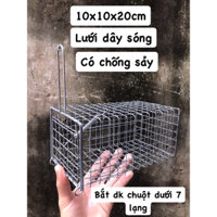 Combo 10 Lồng bẫ.y chuột và sóc 10x20cm.dây sóng