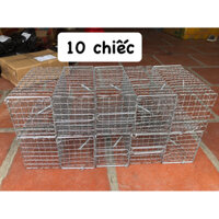 Combo 10 lồng bẫy chuột 10x10x20cm sóng.
