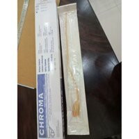 Combo 10 ống thông tiểu Folley 2 nhánh