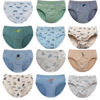 Combo 10 quần chip tam giác và chip đùi Ppippilong hàng xuất Hàn cho bé trai từ 3-14y