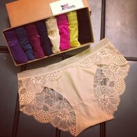 Combo 10 Quần Lót Đúc Pha Ren