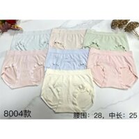 Combo 10 Quần lót nữ cotton xốp big size 8004#