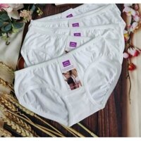 Combo 10 Quần Lót Nữ Cotton Màu Trắng Co Giãn Tháng Mát 40-53 kg 2108