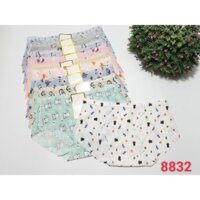 Combo 10 Quần lót nữ đúc su ép viền thông hơi họa tiết cao cấp thun lạnh