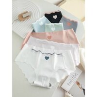 Combo 10 QUẦN LÓT NỮ ĐÚC TIM
