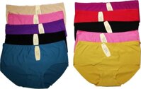 Combo 10 Quần Lót Nữ Su Đúc Chất Đẹp ZDL002