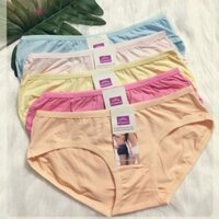 Combo 10 quần lót nữ vải thun Thái cotton mềm mịn co giãn thoải mái size 40-50kg - Shop Kim Yến 9976