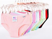Combo 10 quần lót nữ xuất Mỹ H.P.PULO - XL