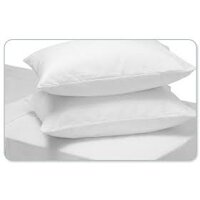 Combo 10 ruột gối hơi 50x70