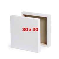 Combo 10 Toan vẽ tranh 30*30