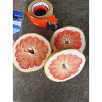 (combo 10 trái )Bưởi lão da xanh bến tre