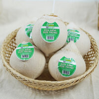 Combo 10 Trái Dừa Xiêm Tươi Ngon Ngọt Nước - FoodMap Fruits