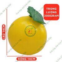 Combo 10 Trái Giả Trái Dưa Vàng Tròn Lớn (14*14 cm) mô hình Việt Nam công nghệ Thái Lan GIỐNG THẬT 99%- Dùng trang trí