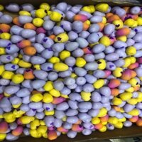 Combo 10 trứng hatchimals va 20 shopkins