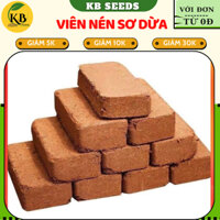 [Combo 10 Viên] Giá Thể Trồng Cây Xơ Dừa 500Gr, Chuyên Dùng Để Trồng Cây Cực Kỳ Tiện Lợi - KB SEEDS